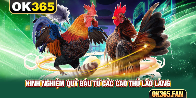 Kinh nghiệm quý báu từ các cao thủ lão làng